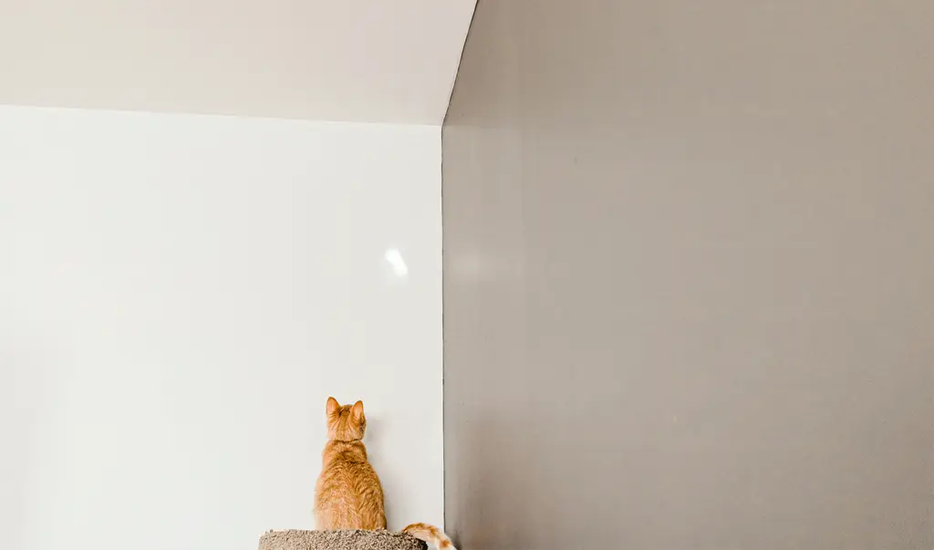 搬家貨運公司懶人包：輕鬆搬家不煩惱！